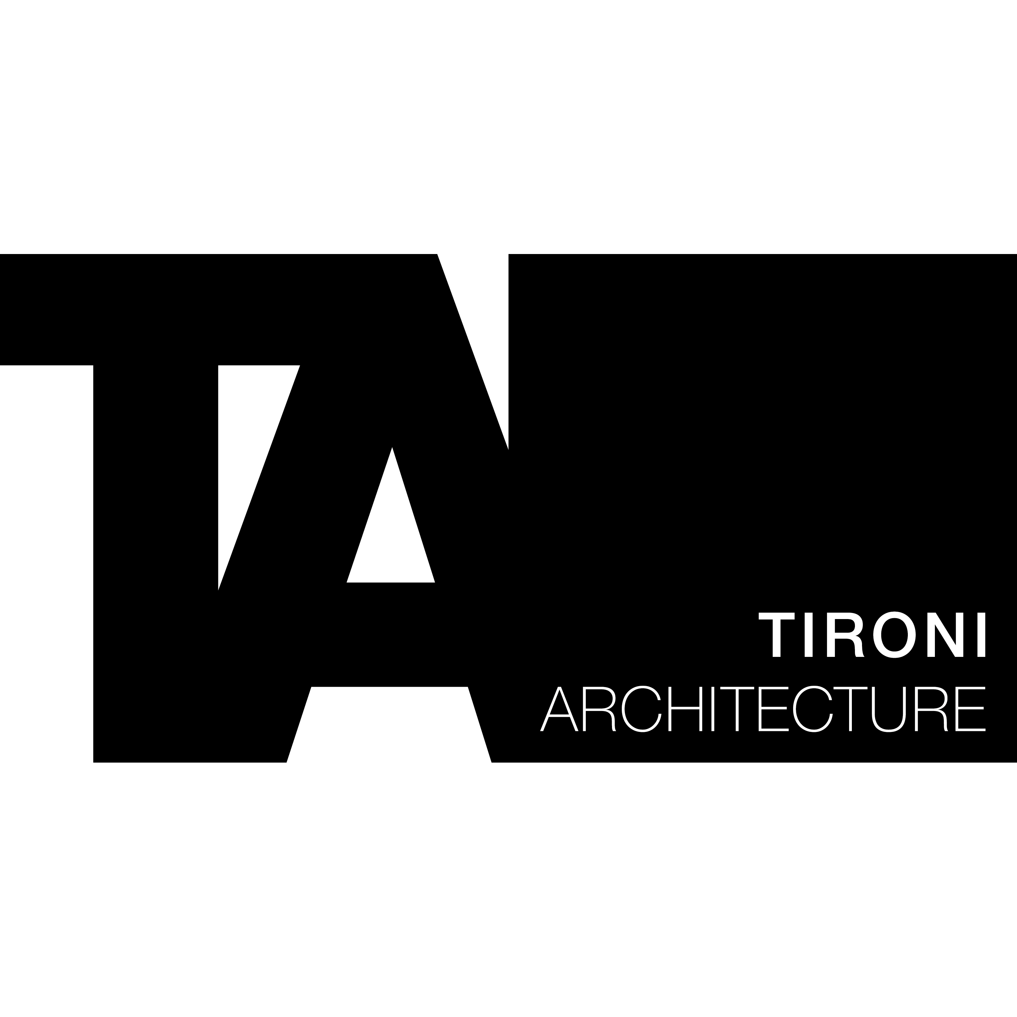logo Flavien Tironi Architecture